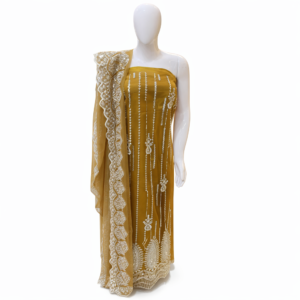 Elegant Fancy Suit for Women